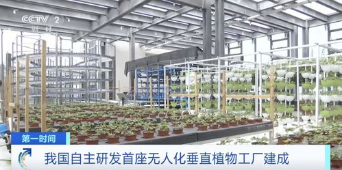 世界初！中國獨自開発の自動化垂直植物工場、生物技術普及サービスを牽引